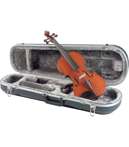 Amazon.com: Stentor 1560A Stentor Conservatoire II Violin, 4/4